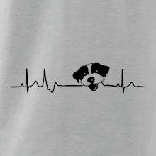 Jack Russell Terriér hrubosrstý Ekg