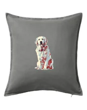 Zlatý retriever vintage