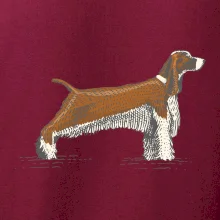 Vintage Springer spaniel