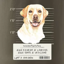 Lump a darebák labrador
