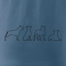 Americký stafordširský teriér v různých pozicích