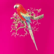 Papoušek na listnatém stromě