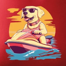 Zlatý retrívr na vodním skútru