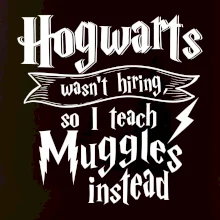 Harry - Hogwarts wasn’t hiring, so I teach Muggles instead
