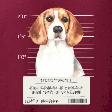 Lump a darebák bígl