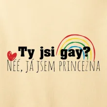 Gay princezna