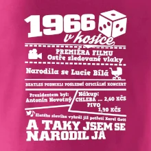 1966 v kostce
