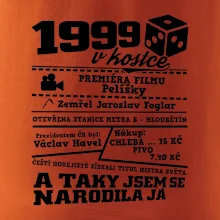 1999 v kostce