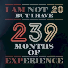 20 years 239 months of experience 20 years 239 months of experience