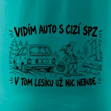 Vidím auto s cizí spz