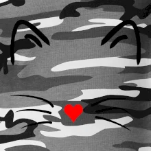 Kočka - srdce místo nosu