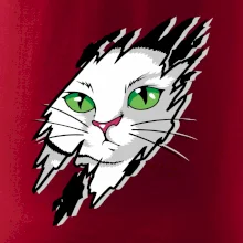 Kočka v roztrženém triku