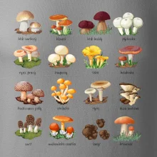 Atlas hub - triko s houbami