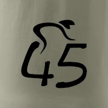 Cyklista slaví pětačtyřicítku (45)