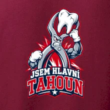 Jsem hlavní tahoun