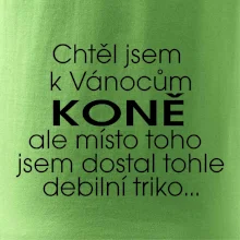 Chtěl jsem dostat k Vánocům koně