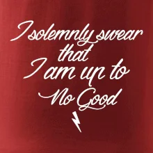 I solemnly swear that I'm up to no good