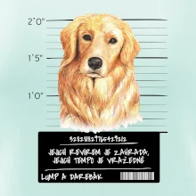 Lump a darebák zlatý retrívr