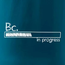 In progress  titul Bc. bakalář / bakalářka