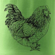 Slepice černobílá