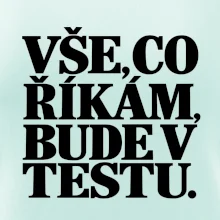 Vše co říkám bude v testu