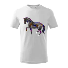 Kůň geometrie barevný