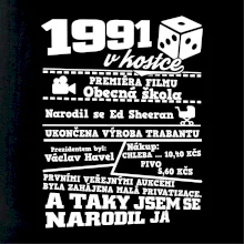 1991 v kostce