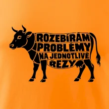 Rozebírám problémy na jednotlivé řezy