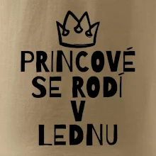 Princové se rodí v lednu