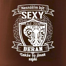 Nesnáším být tak skvělý - Beran