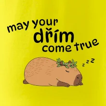 May your dřím come true
