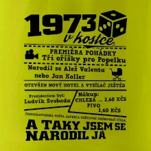 1973 v kostce