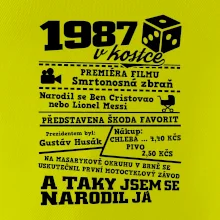 1987 v kostce