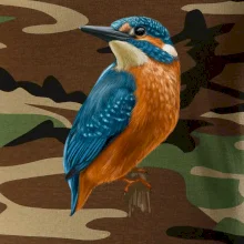 Lednáček kreslený