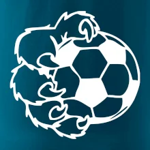 Medvědí tlapa fotbal