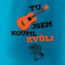Tu kytaru jsem koupil kvůli tobě