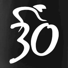 Cyklista slaví třicítku (30)