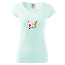 Tancující Santa a sob