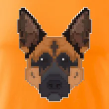 Německý ovčák - Rozkostičkovaný