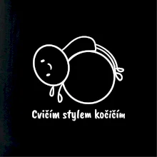 Cvičím stylem kočičím