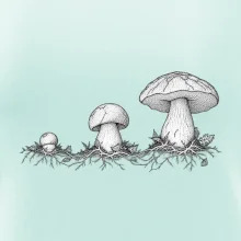Životní cyklus hřibu