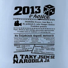 2013 v kostce