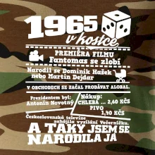 1965 v kostce