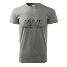 Můj plat? to jen taková symbolická pozornost