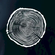 Letokruhy 75 bez věku