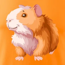 Morče - kreslené, bílo oranžové