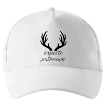 Harry - Expecto patronum