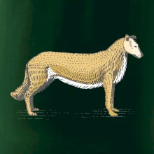 Vintage Collie