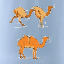 Pravda o velbloudech