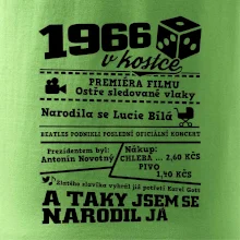 1966 v kostce